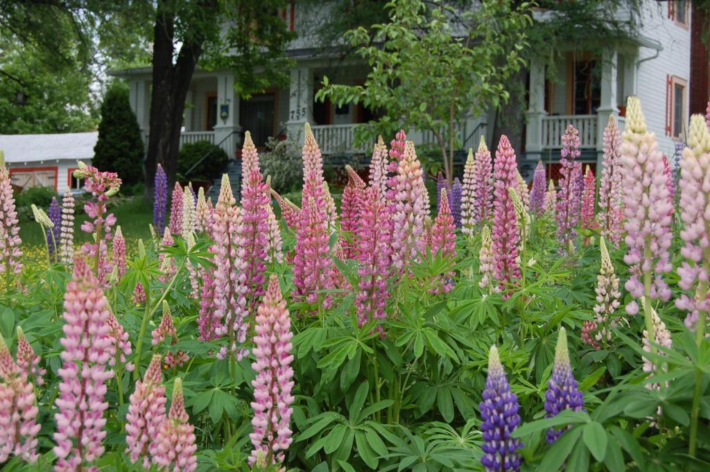 Almatoit Bed & Breakfast Exterior foto